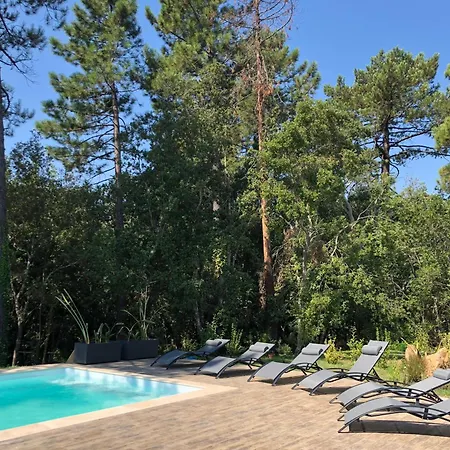 Piscine Chauffee & Jardin - Centre 5 Min - 10 Min - Menage Villa
