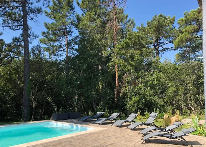 Piscine Chauffee & Jardin - Centre 5 Min - 10 Min - Menage Villa